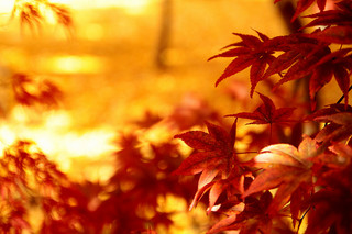 Thumbnail of post image 142