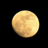 Thumbnail of related posts 147