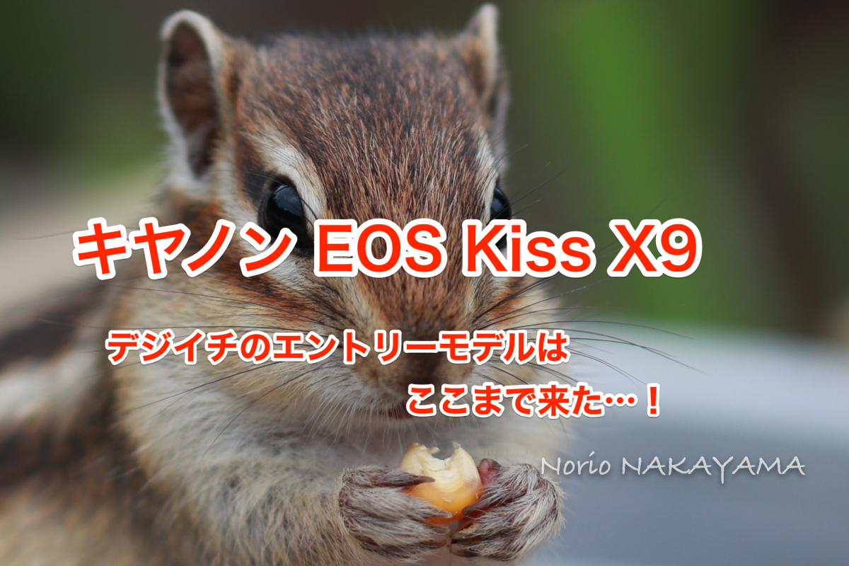 Thumbnail of post image 074