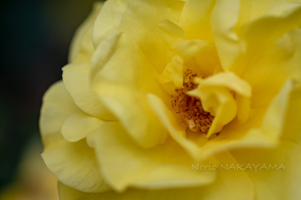 20190519-3J7A5517