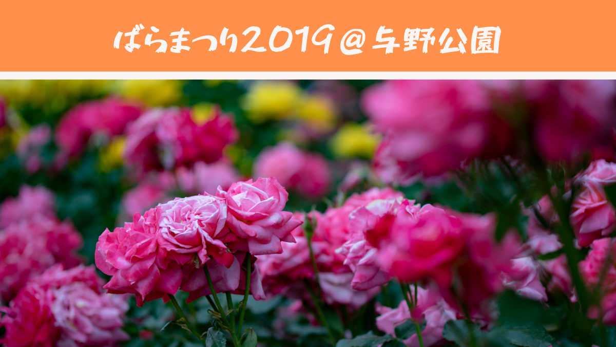 Thumbnail of post image 028